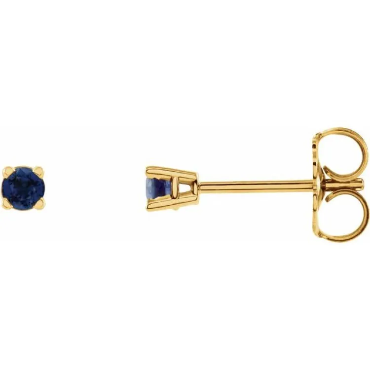 14K Yellow 2.5 mm Natural Blue Sapphire Stud Earrings with Friction Post