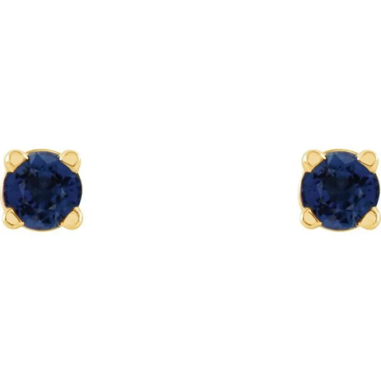 14K Yellow 2.5 mm Natural Blue Sapphire Stud Earrings with Friction Post