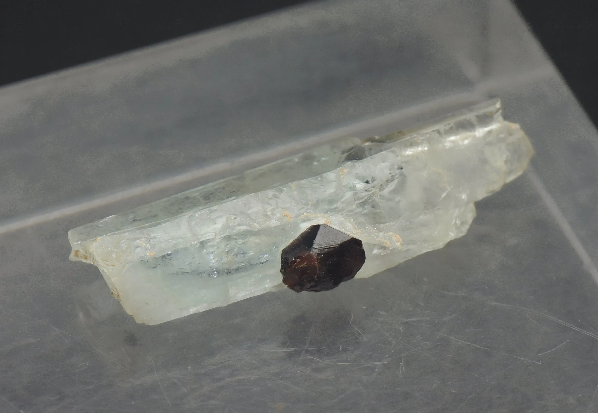 Aquamarine with Garnets Crystal MIneral Specimen - Pakistan